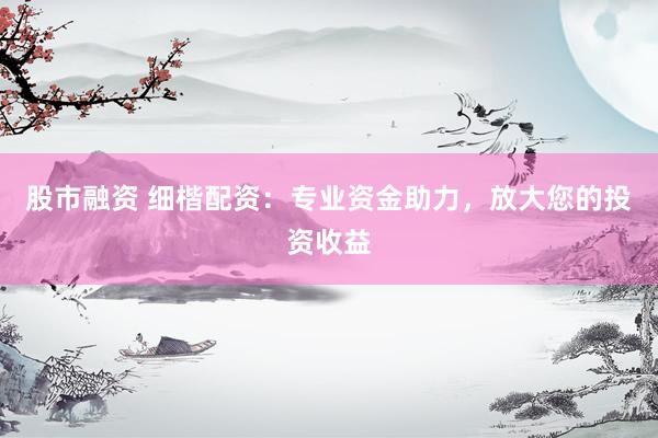 股市融资 细楷配资：专业资金助力，放大您的投资收益