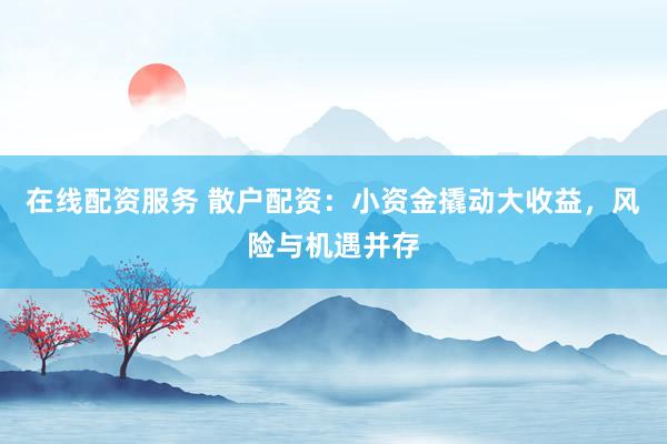 在线配资服务 散户配资：小资金撬动大收益，风险与机遇并存