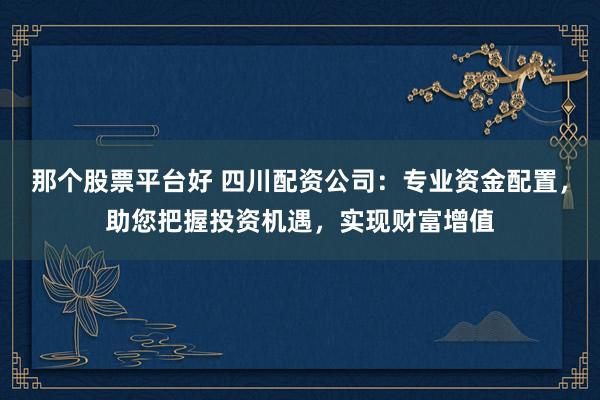 那个股票平台好 四川配资公司：专业资金配置，助您把握投资机遇，实现财富增值