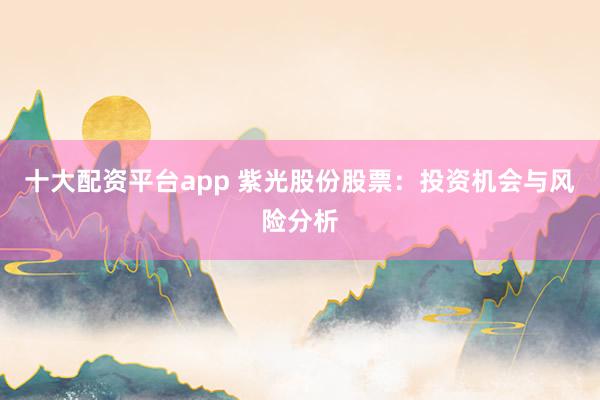十大配资平台app 紫光股份股票：投资机会与风险分析