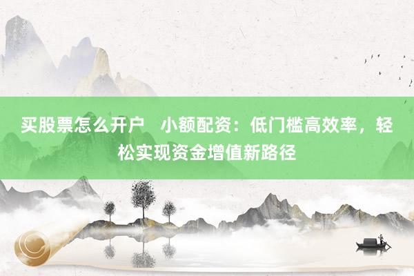 买股票怎么开户   小额配资：低门槛高效率，轻松实现资金增值新路径