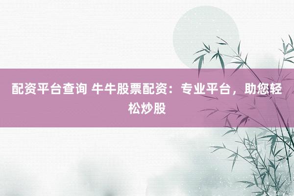 配资平台查询 牛牛股票配资：专业平台，助您轻松炒股