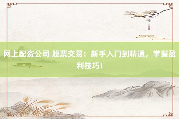 网上配资公司 股票交易:新手入门到精通,掌握盈利技巧!