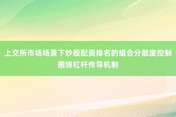 上交所市场场景下炒股配资排名的组合分散度控制围绕杠杆传导机制