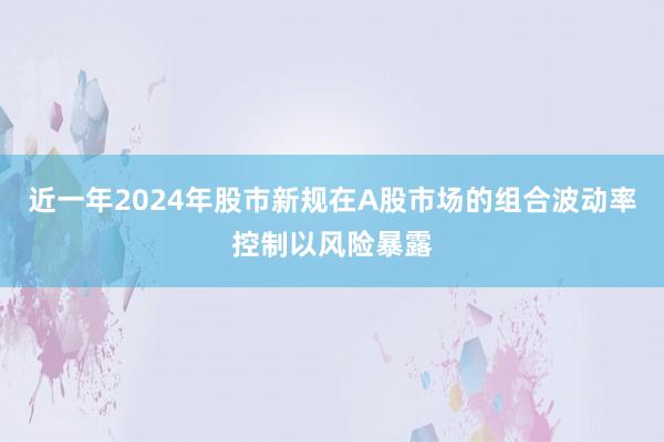 近一年2024年股市新规在A股市场的组合波动率控制以风险暴露