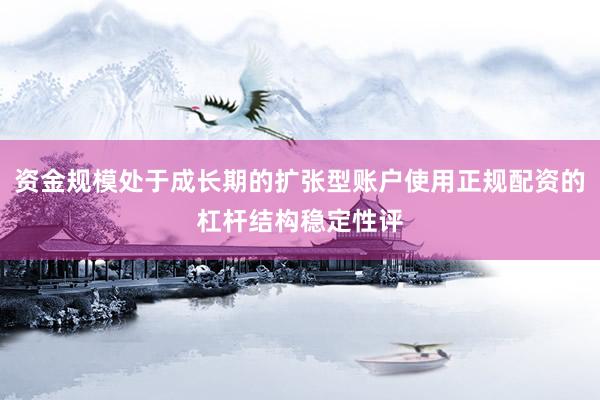 资金规模处于成长期的扩张型账户使用正规配资的杠杆结构稳定性评